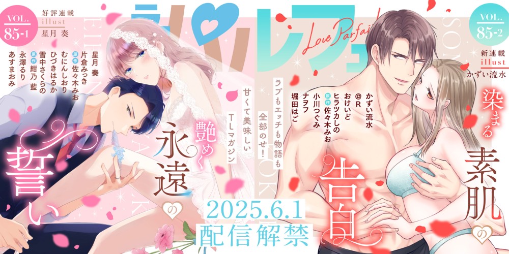 vol85-1・85-2スライダー