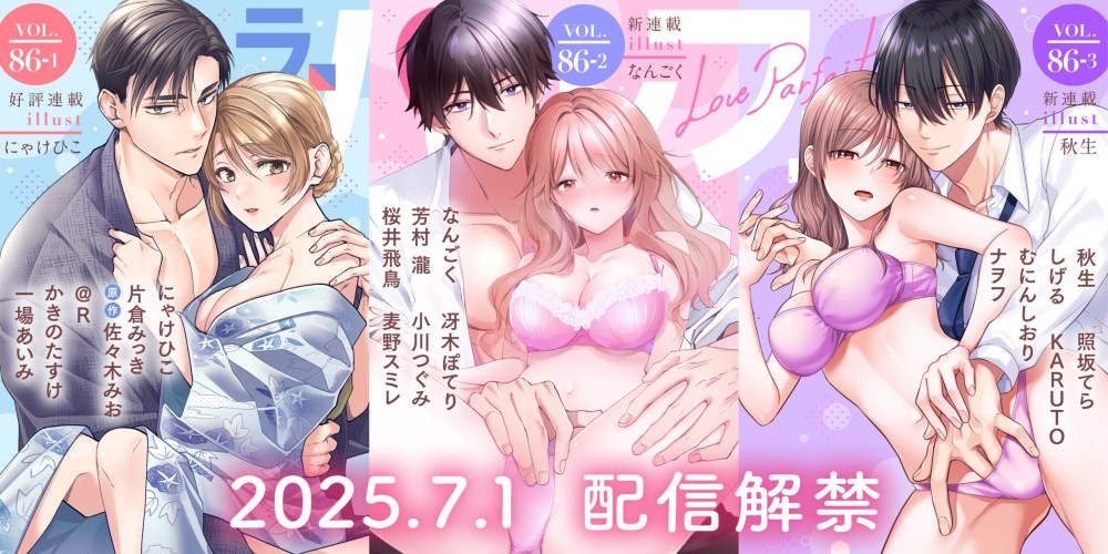 vol86-1・86-2・86-3スライダー