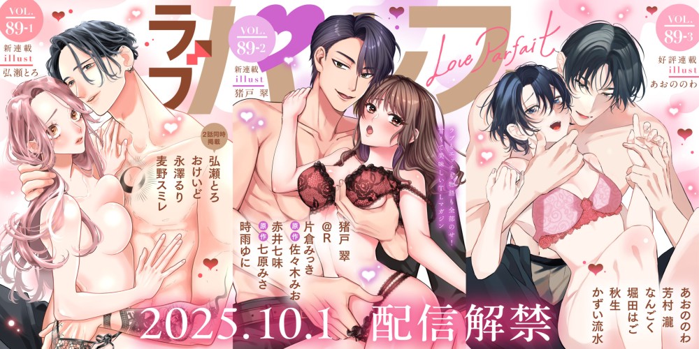 vol89-1・89-2・89-3スライダー